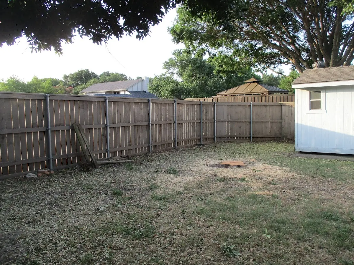 Cleared yard after professional tree removal in Atlantic Beach