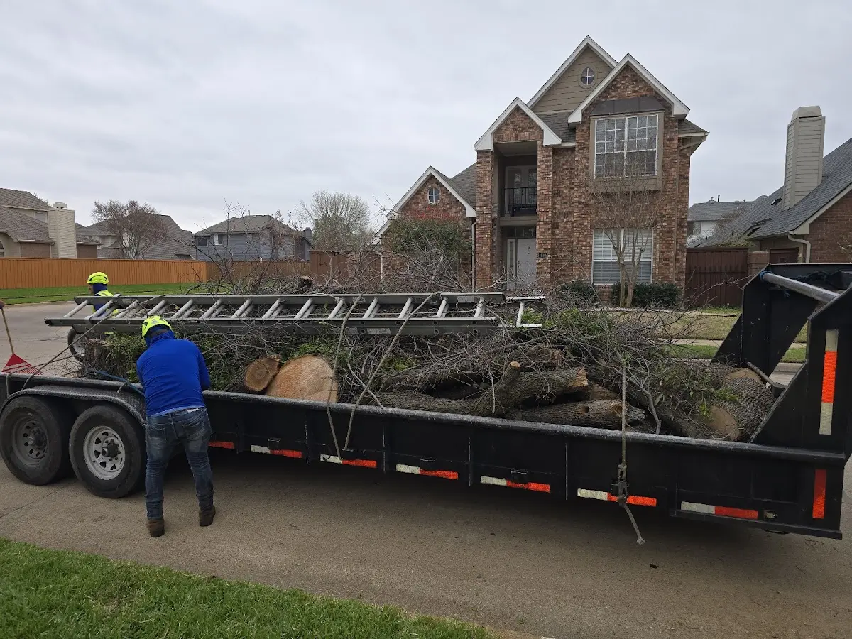 Expert Tree Pest Control with proper safety equipment in Atlantic Beach